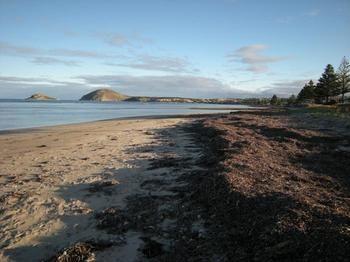 Wintergarden Beach Cabin Victor Harbor Εξωτερικό φωτογραφία